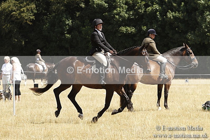 _BS_0801 - BVRC Show 2018 Ring 1