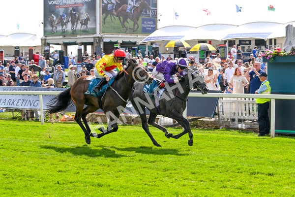 130625-Race 4-India Love-9254 - Race 4 3.35pm Juddmonte EBF Fillies' Restricted Novice Stakes