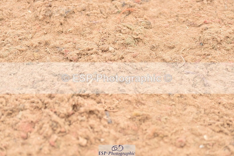 230610A-105954-02662 - Cls 23 85cm Amateur Qualifier