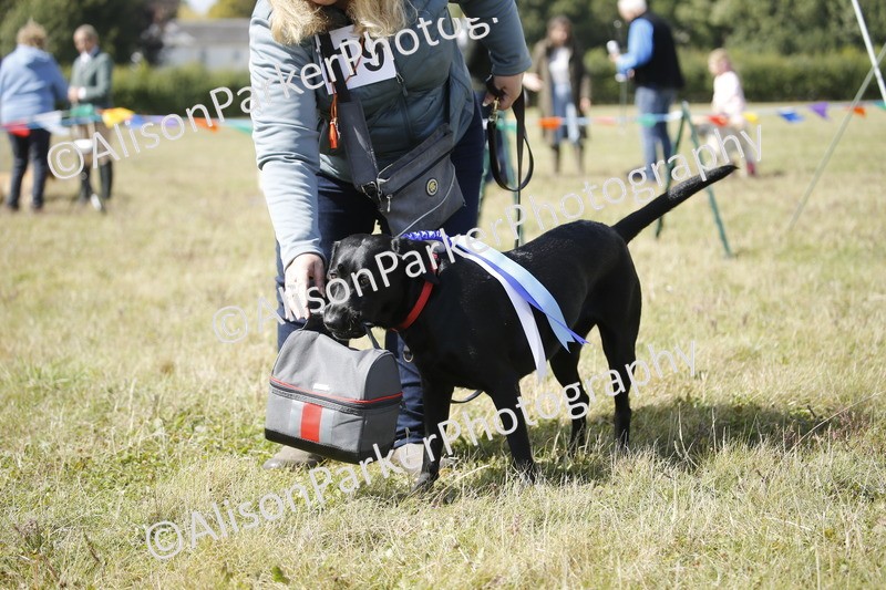 20250831-3733 - Dog Show