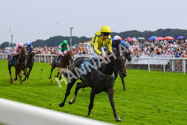 100923-Race 4-Tropical Island-0781 - Race 4 3.15pm Edge Windows Nursery Handicap at York