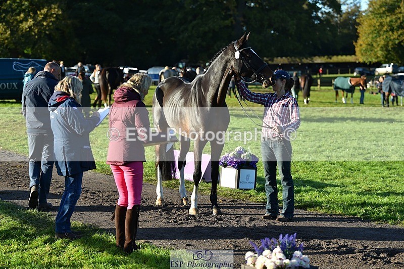 231022-092716-21800 - 685-ADRENALIN.II-Cosima.Atkinson-TrotUp+SJ