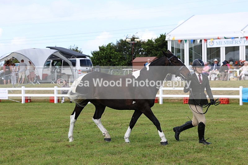 3E7A0011 - Class 5: Rising Star Lightweight/Heavyweight Cobs