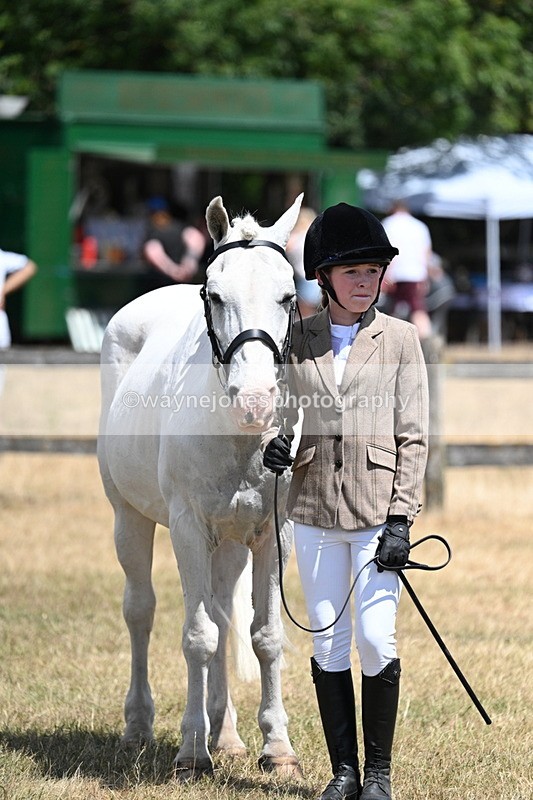 WJ7_2241 - Class 5 Most Handsome Gelding (up to 14.2hh) in hand