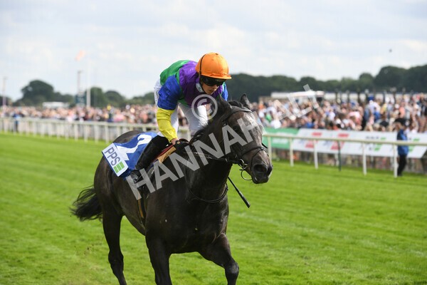 yr11062022r8-29 - Race 8 5.25pm Clean up with PPS Stakes