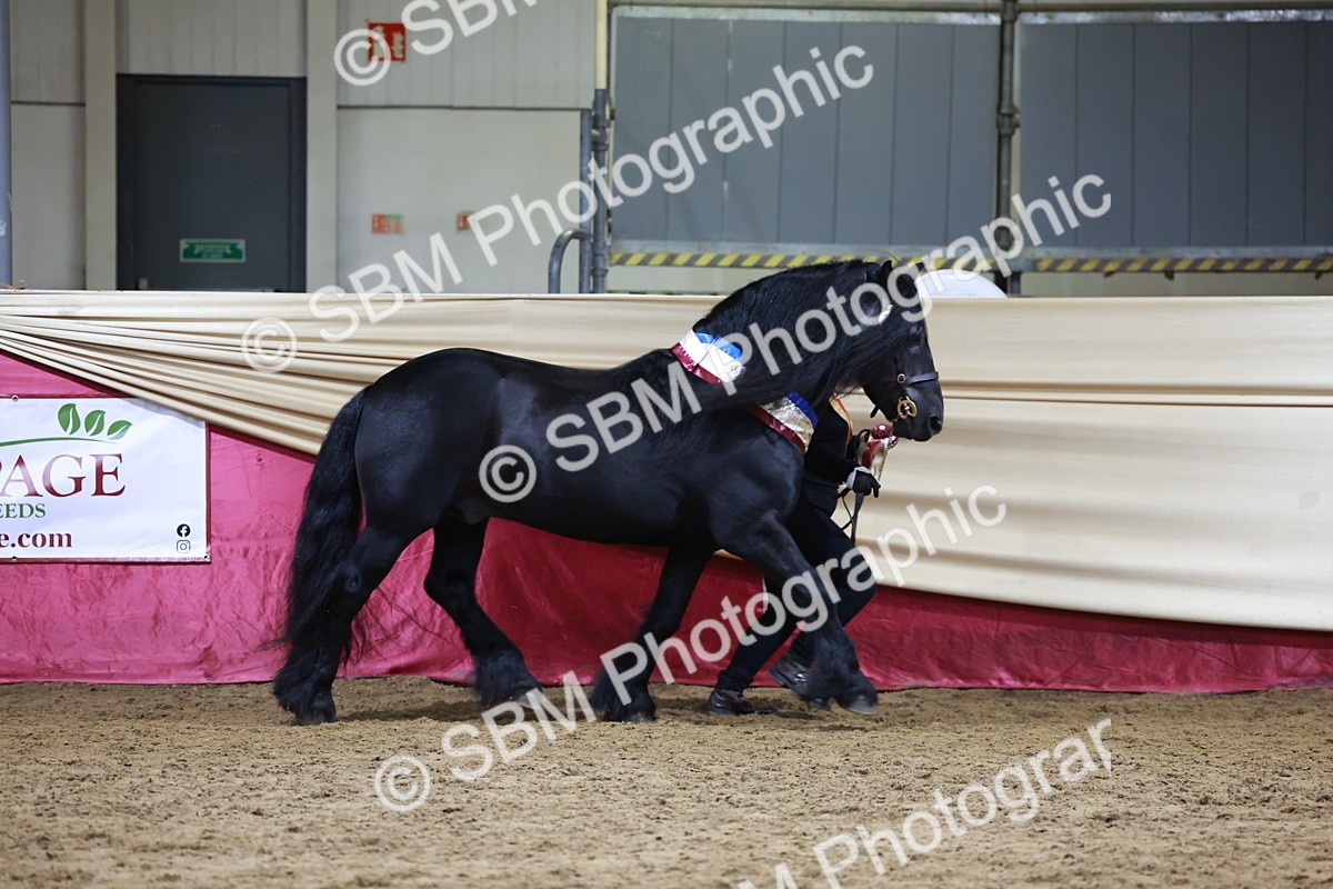 SBM_20434 - Class F - IH Small (148cm & Under)Champ