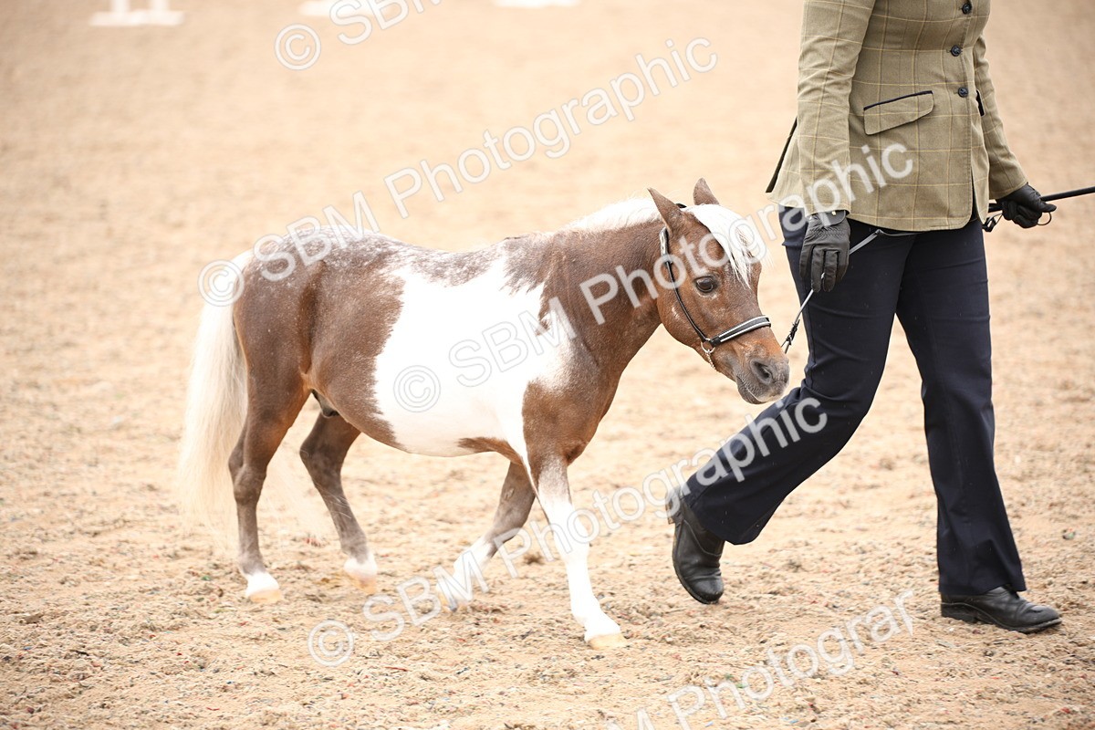 SBM_19302 - Class 701 - Best Turned Out IH & Ridden
