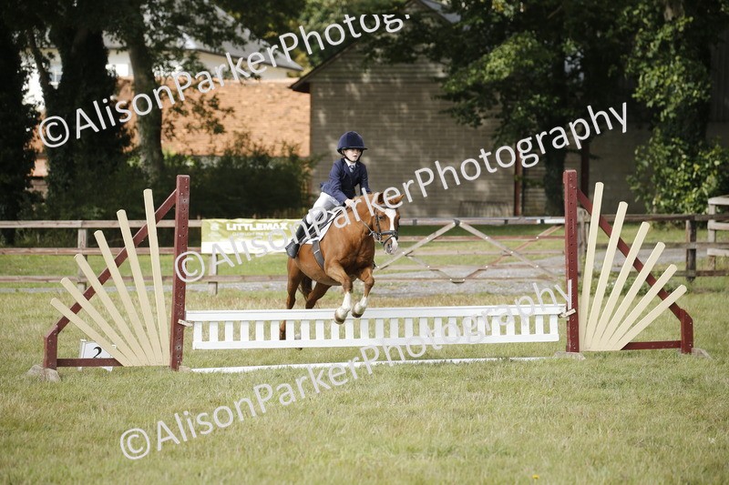 20250831-0725 - Class 2 - 60cm