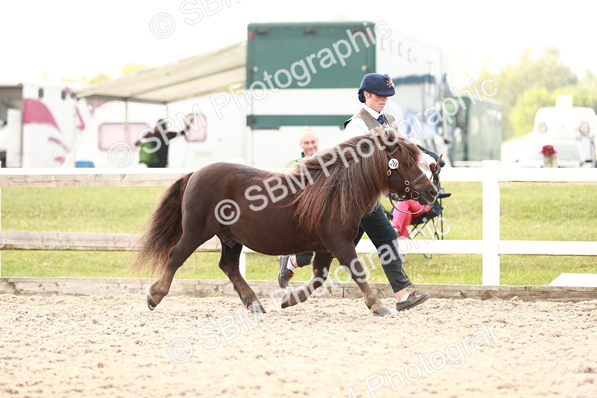 SBM_12434 - Class 207 IH M&M