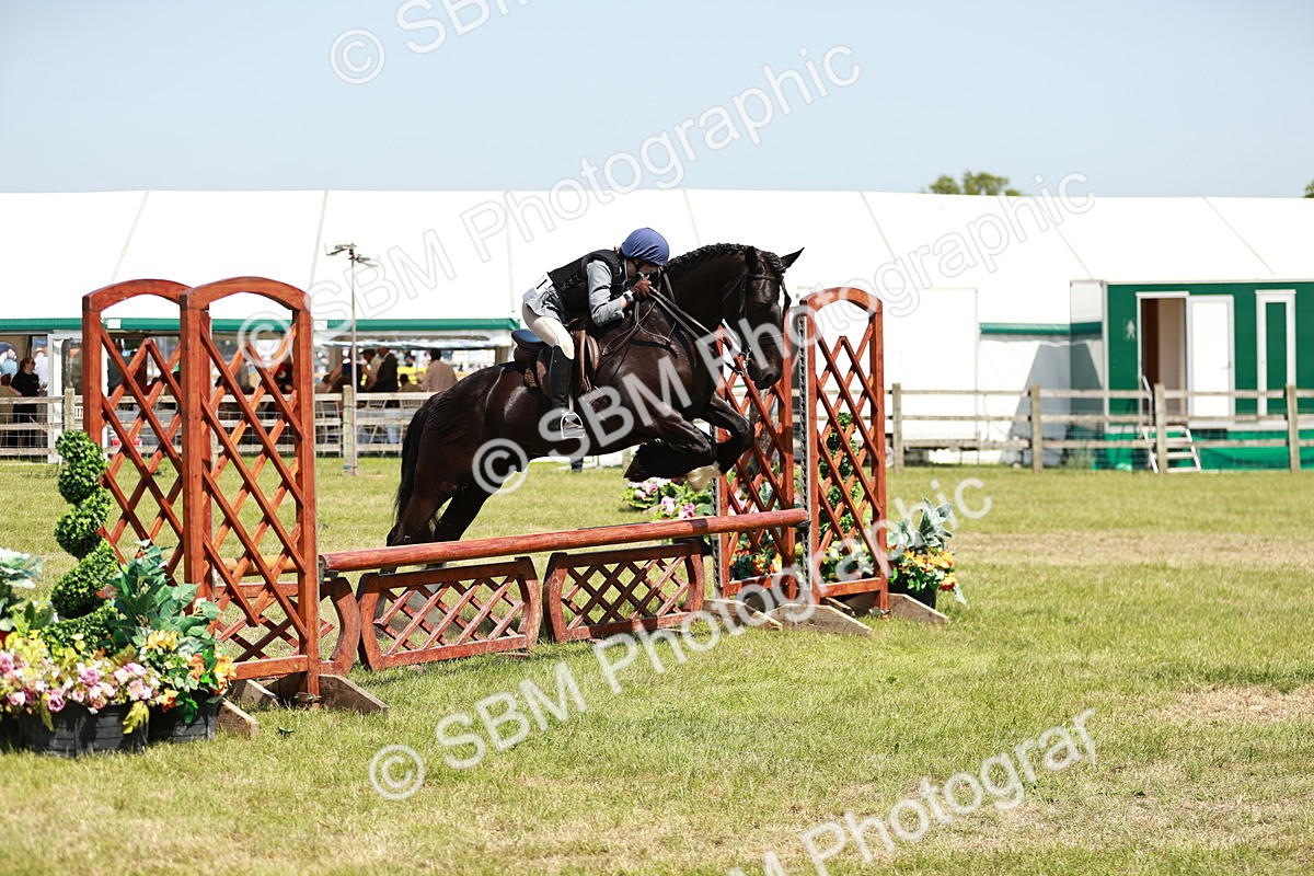 SBM_16395 - Class 110-111 - Training Stakes (70cms 80cms)