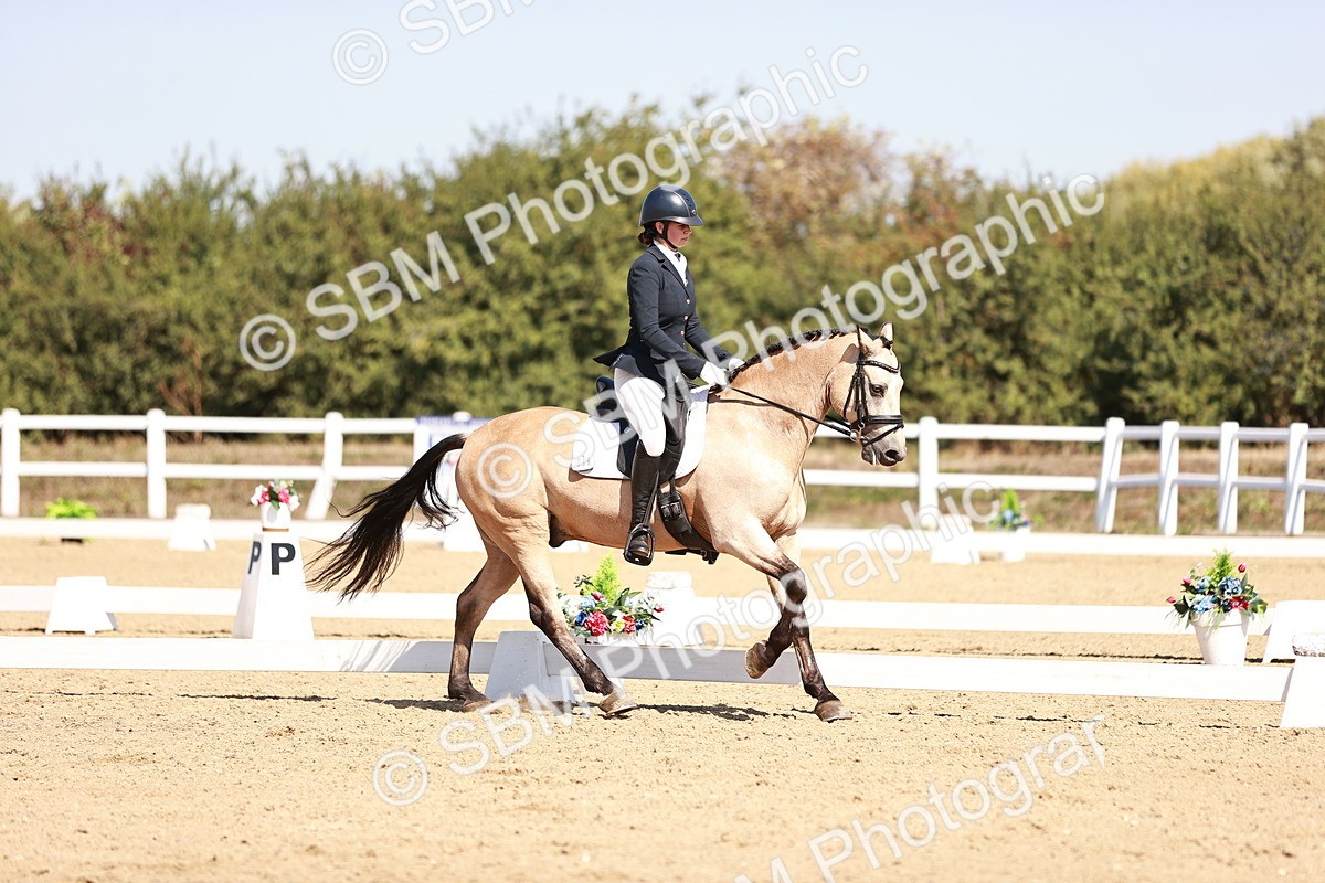 SBM_004623 - Class 12 - Novice 5 - 10.31-11.41