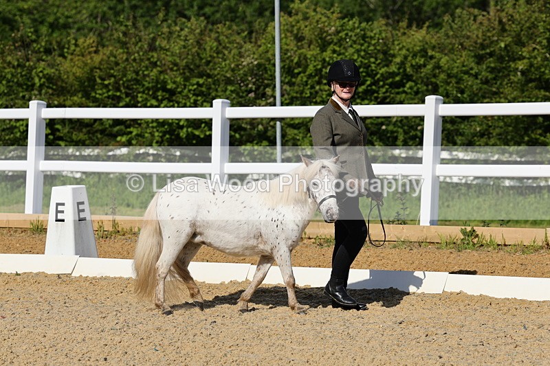 1X9A0595 - Class 3: Youngstock 1, 2, 3 year old not to exceed 153cm