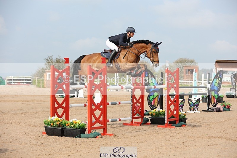 250424-102354-02986 - Cls 33 Young Horse 7yr old