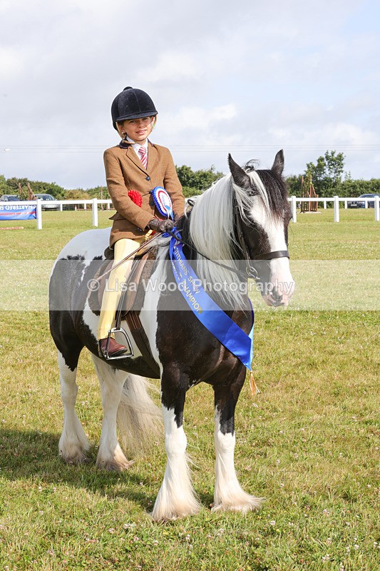 1X9A3516 - Skewbald and Piebald Ridden Championship
