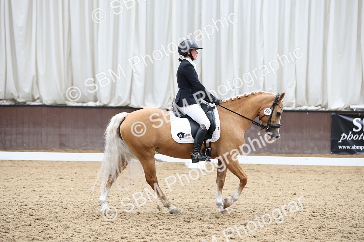 SBM_007553 - Class 23 - Medium FSM Bronze