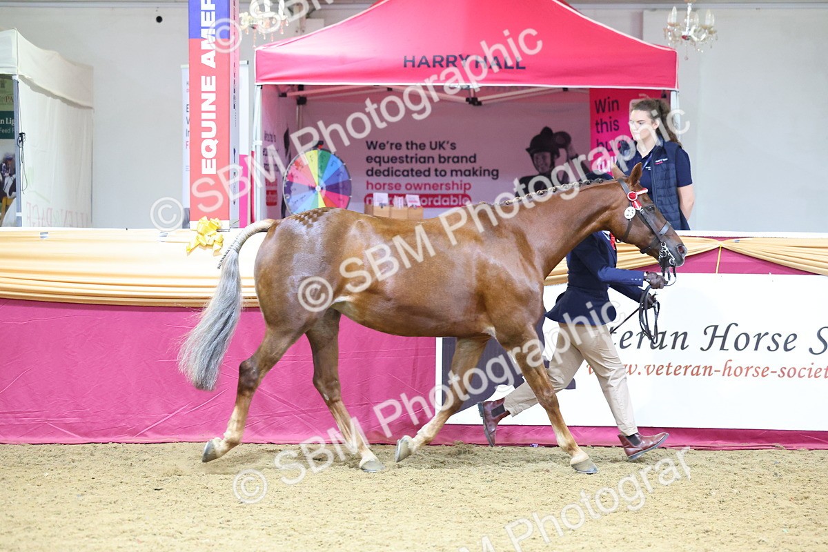 SBM_20830 - Class 902 - Supreme Final IH Veteran