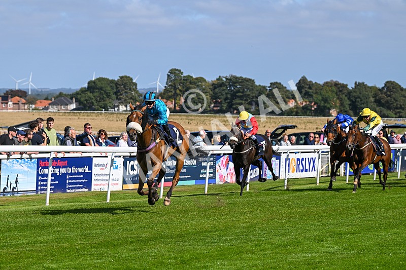 180924-Race 1-Tees George-3702 - Race 1