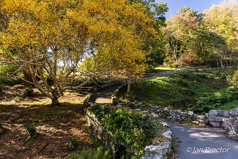An Autumn Walk in Tollymore - Autumn
