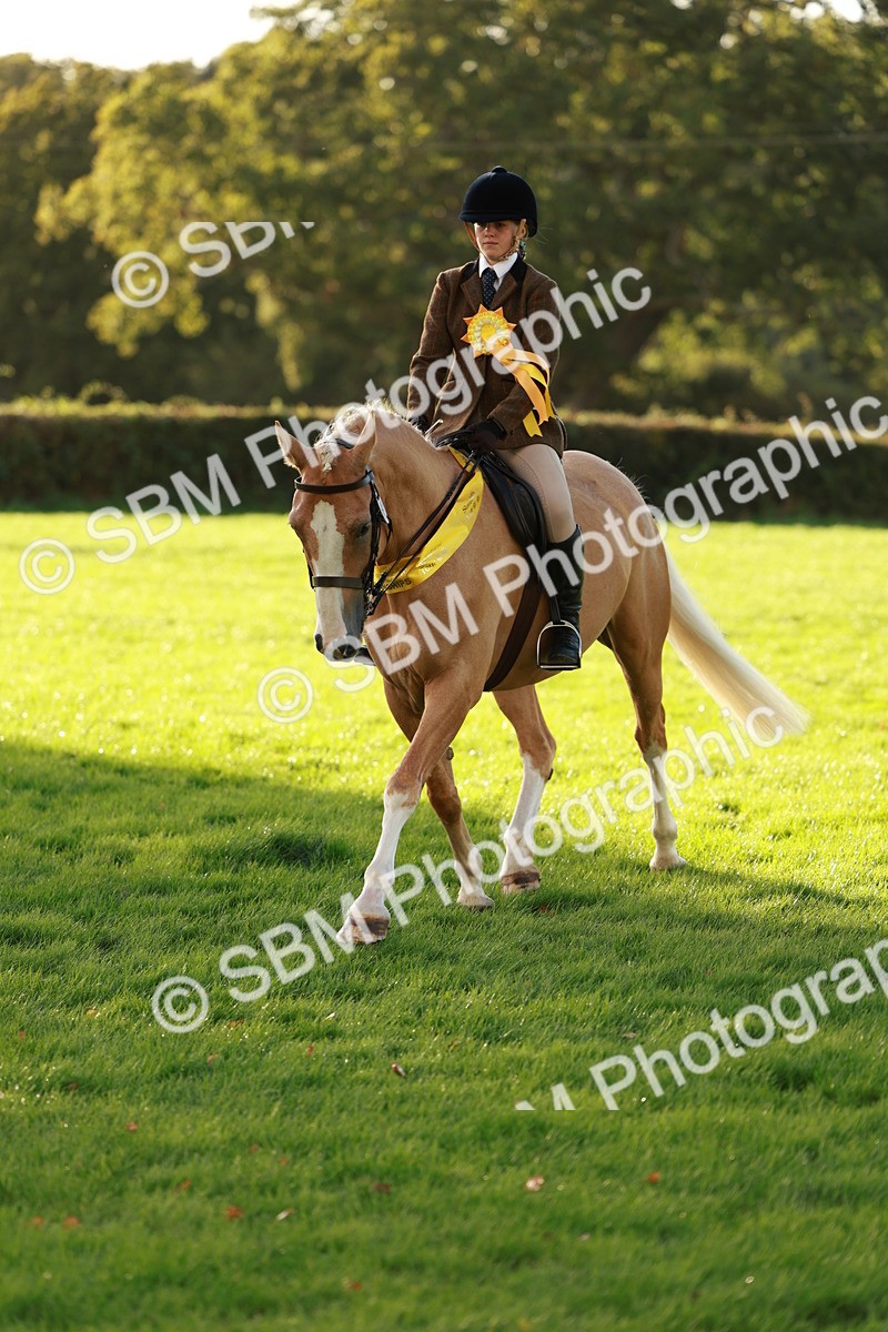 SBM_29297 - Novice & newcomer Supreme Championship