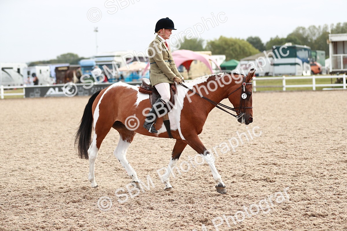 SBM_17571 - Class 215 Ridden Hack/ Riding Horse