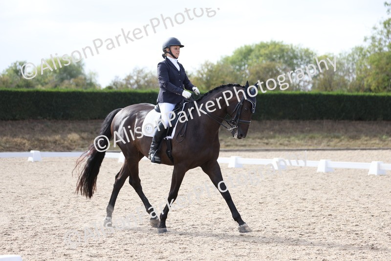 20250820-1571 - Class 21 - Advanced Medium 5