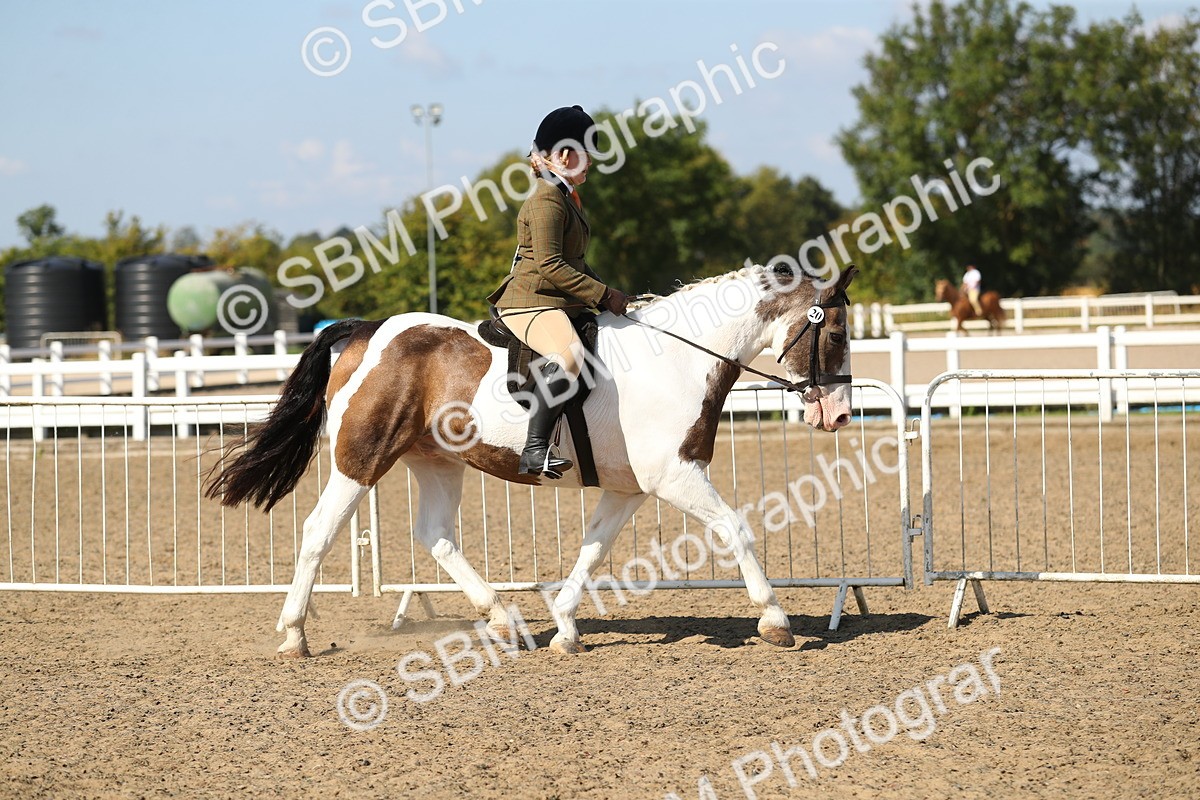 SBM_03112 - Class 44 Riding Club Horse/ Pony