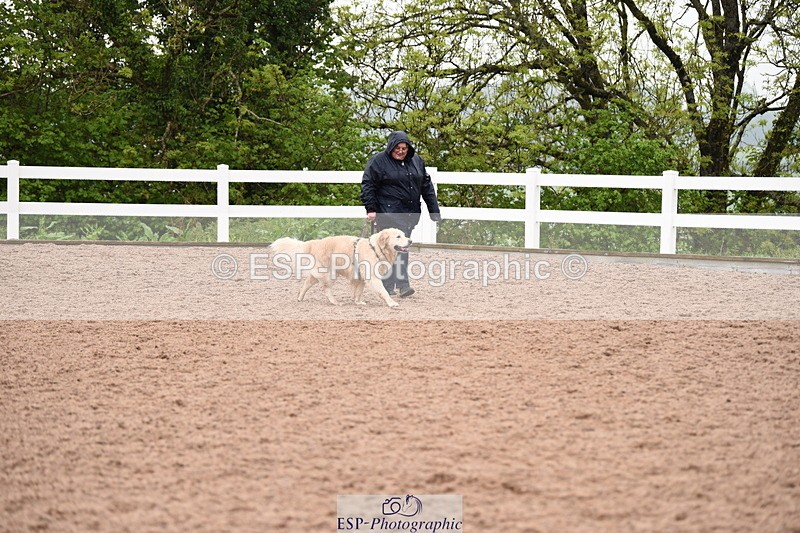 240518A-133722-01322 - Cls 9 Best in Show