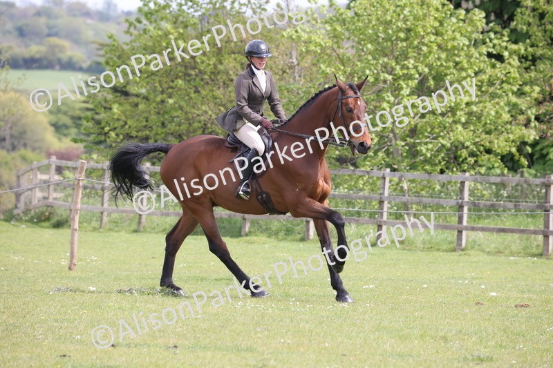 20260426-4338 - Class 34 - Best Riding Horse Over 14.2hh