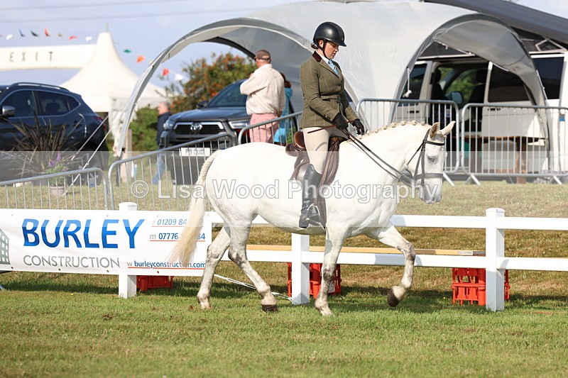 3E7A8488 - Class 3: Rising Star S/L Hunter