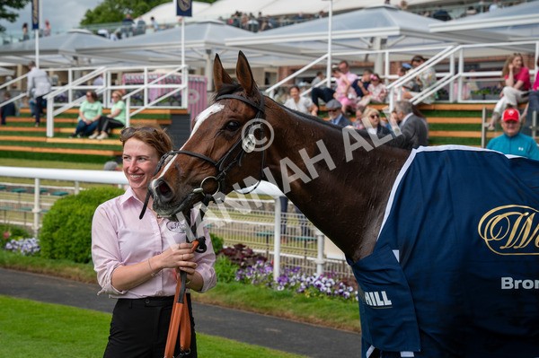 310525-Race 4-Scenic-7874 - Race 4 3.15pm William Hill Bronte Cup Fillies' Stakes