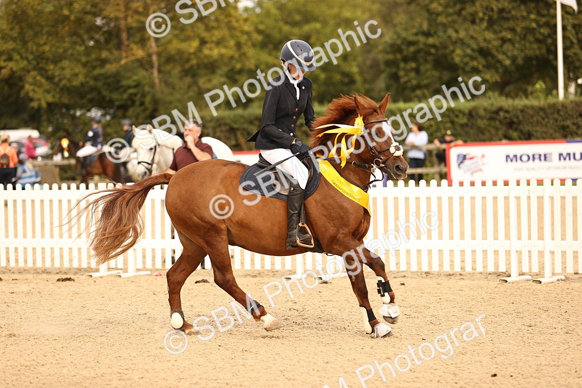 SBM_70863 - J13 - Junior Pony 60cm Championship