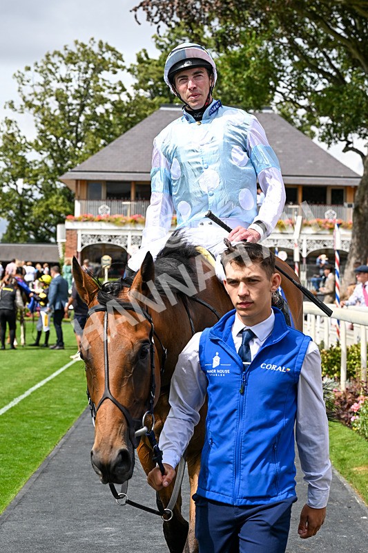 250726-Race 2-Stratusnine-0727 - Race 2 14.00pm Sky Bet Dash