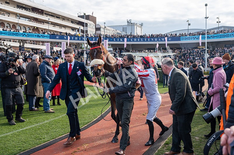 140325-The Real Whacker-WR-9651 - 14th March