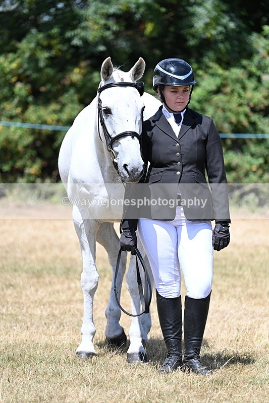 WJ7_2407 - Class 5a Most Handsome Gelding in hand (above 14.2hh)