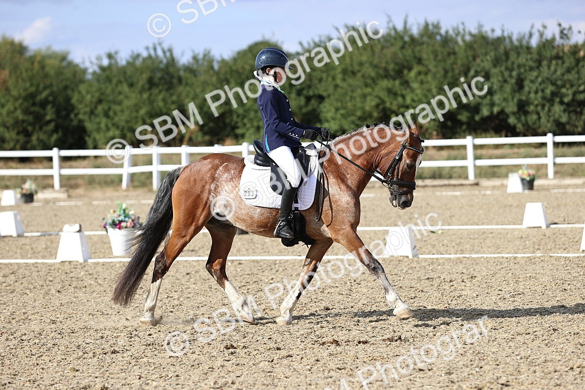 SBM_015992 - Class 5 - E5 Bronze  16.18.17.22