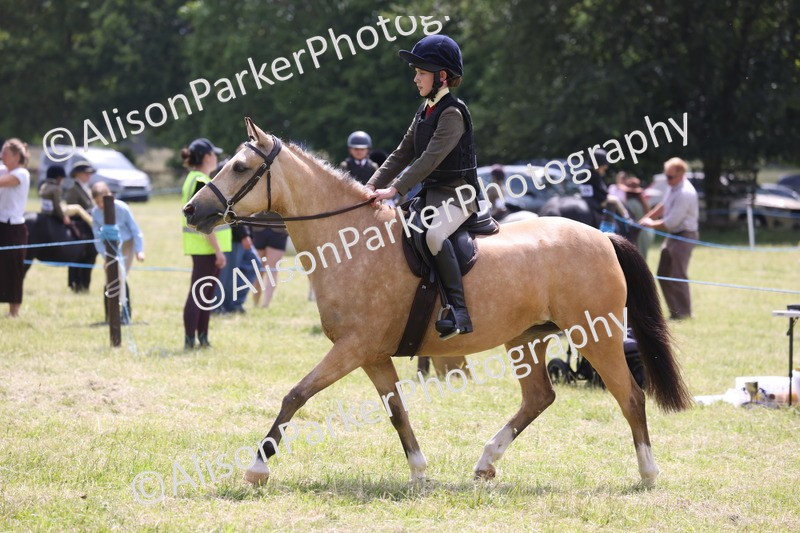 20260614-1796 - Class 21 - Novice Working Hunter Pony
