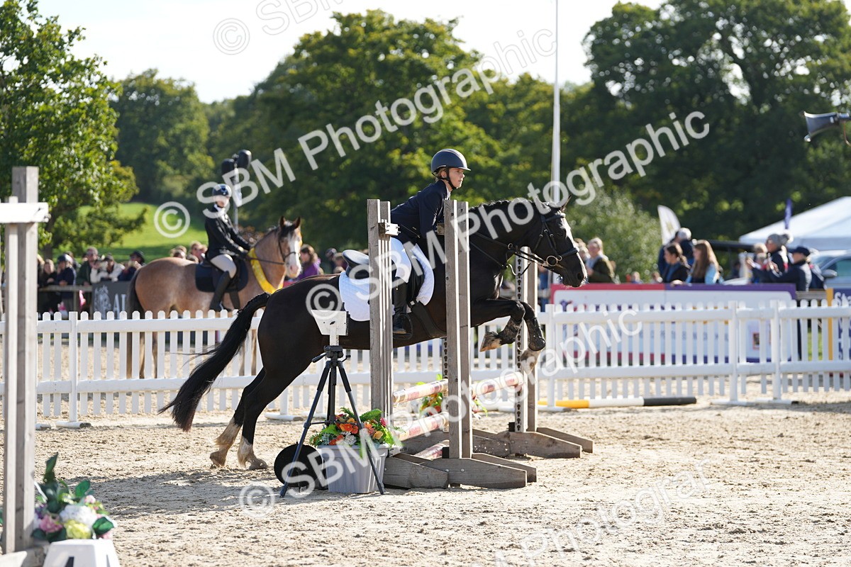 SBM_49404 - J8 - Junior Pony 65cm Championship