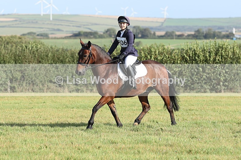 JPP_7929 - Class 2A: Trekenning Open: Dressage