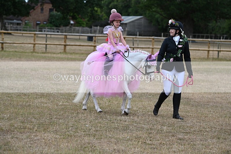 WJ6_8623 - Class 11 Fancy Dress