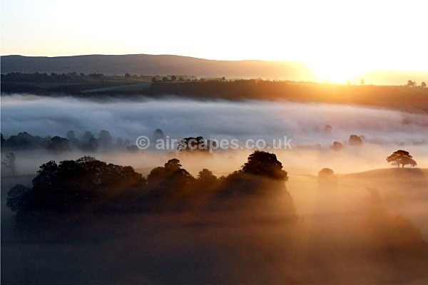 Morning Trees - Eden Valley, Cumbria