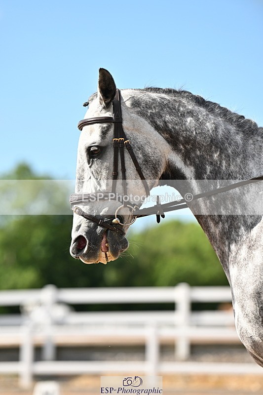 240622A-173422-15341 - Cls 7B+C Elementary 44 RoR