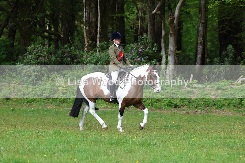 3E7A2631 - Working Hunter Championship