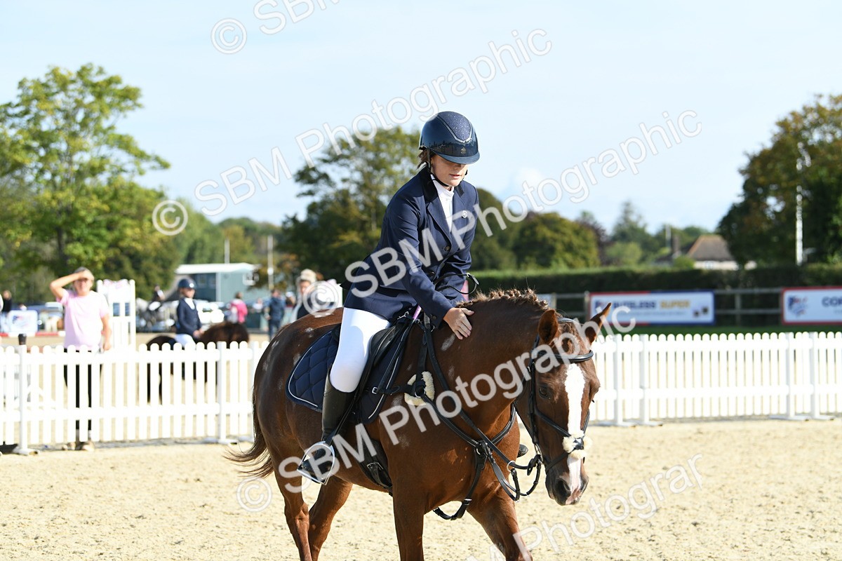 SBM_60787 - j25 - Junior Horse 80cm Championship