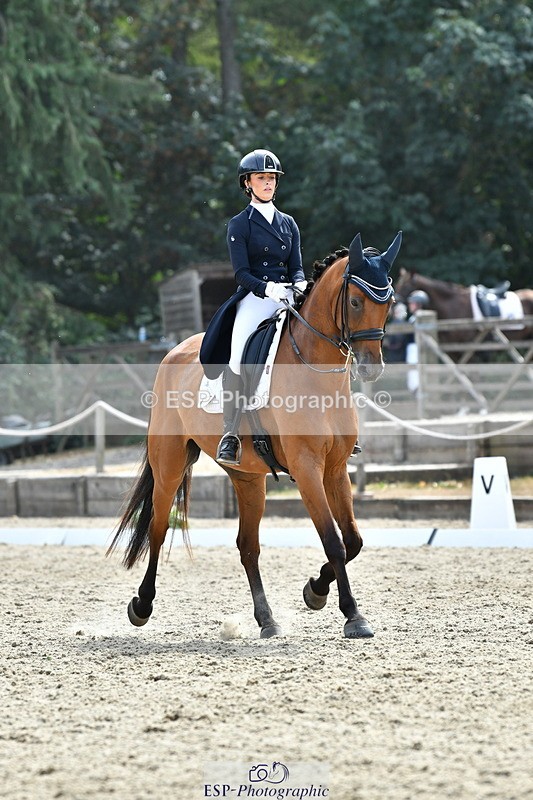 260802A-153037-07430 - Intermediate Bronze