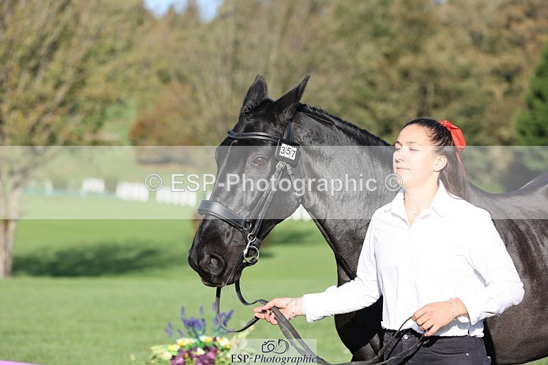 241027-092346-15260 - 357-Eleanor.Newcombe-MR.DARCY