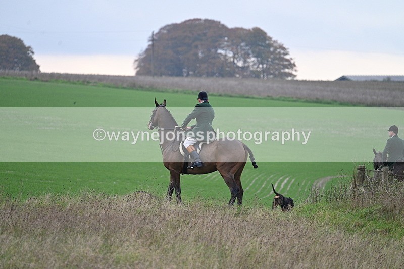WJ7_9891 - Camera 1 & Last fence