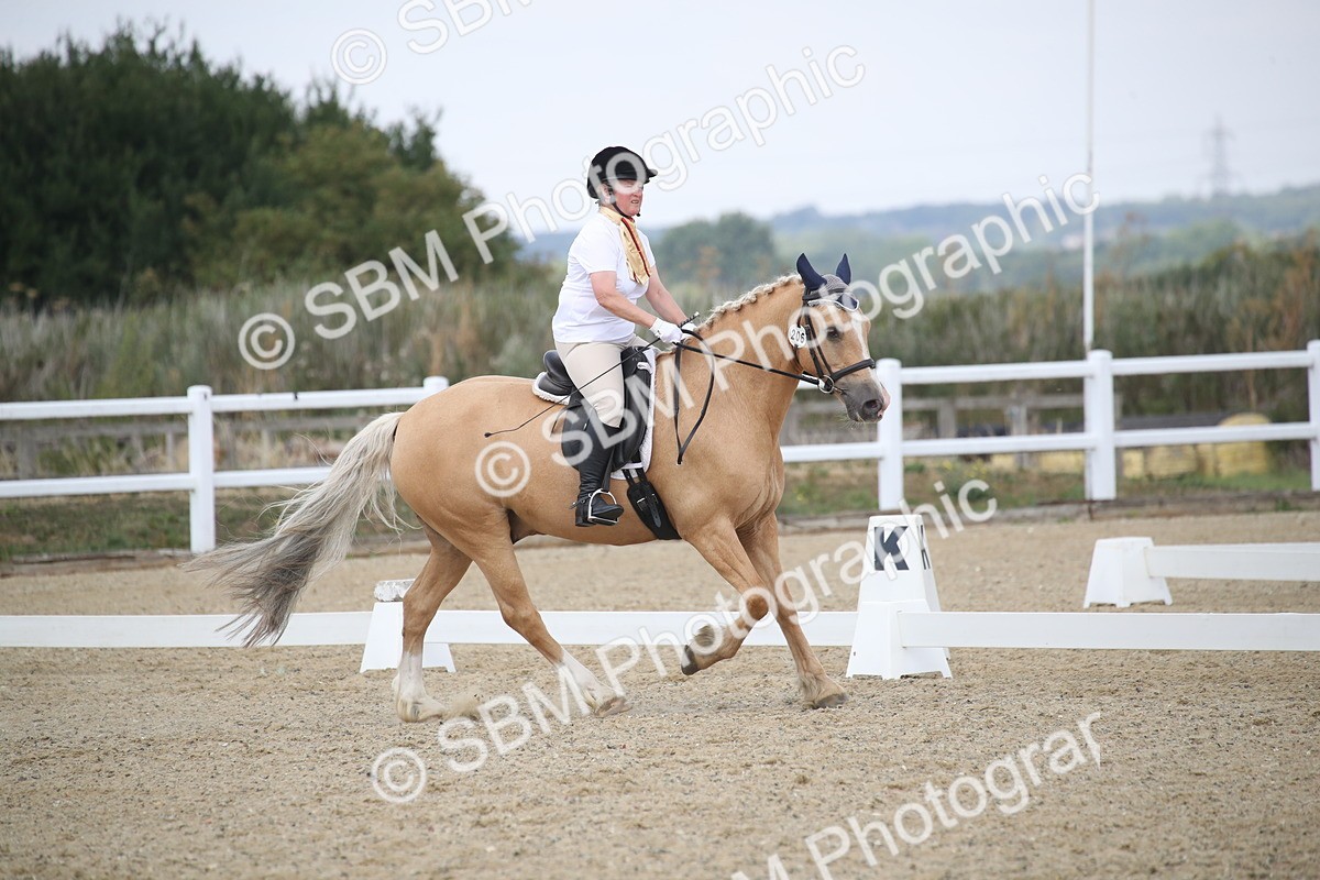 SBM_008194 - Novice 5 - 10.56-13.12