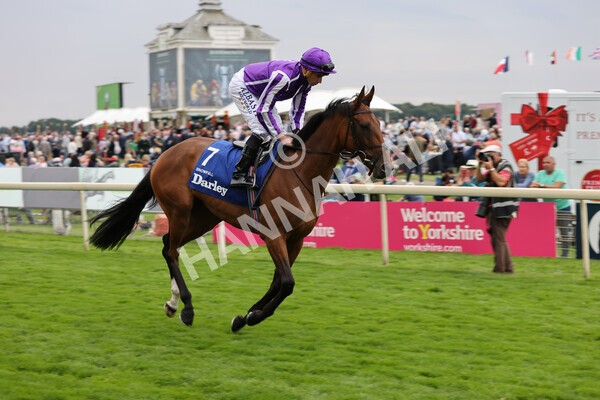 yr19082021r4-32 - Race 4 3.35pm Darley Yorkshire Oaks (British Champions Series race)