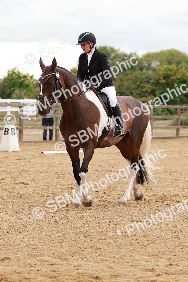 SBM_002772 - Novice 2