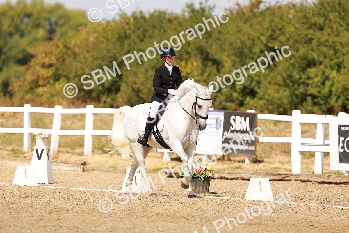 SBM_018534 - Class 9 - N5 Bronze 11.57.13.07